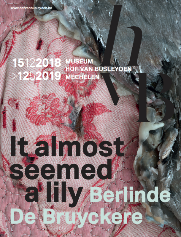 BERLINDE DE BRUYCKERE 'It almost seemed a lily'